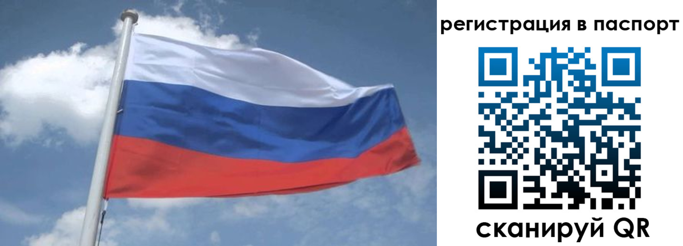временная регистрация надежно в Новом Осколе